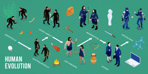 人类进化等距信息图图片下载