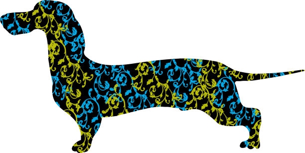 腊肠犬品种优雅图片下载