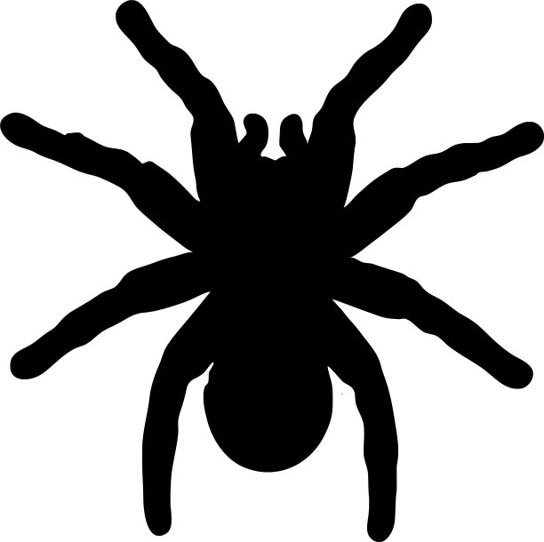 蜘蛛图片下载