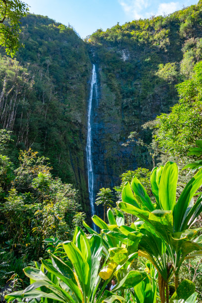 瀑布在韩亚金融集团图片下载