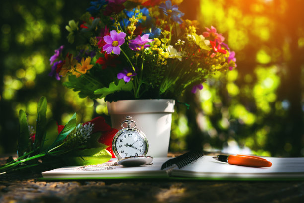 怀表和笔放在空白的白色笔记本上图片下载