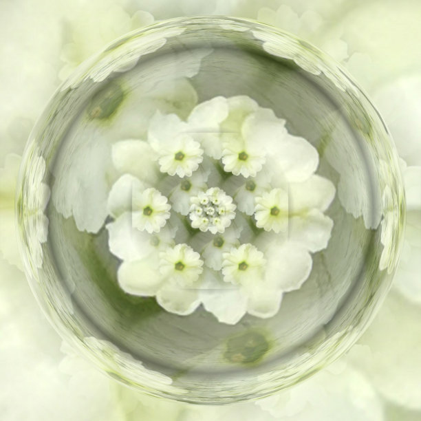 精致的淡黄色花卉幻想万花筒设计图片下载