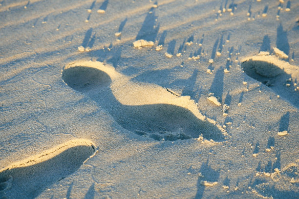白沙上的人类脚印图片下载