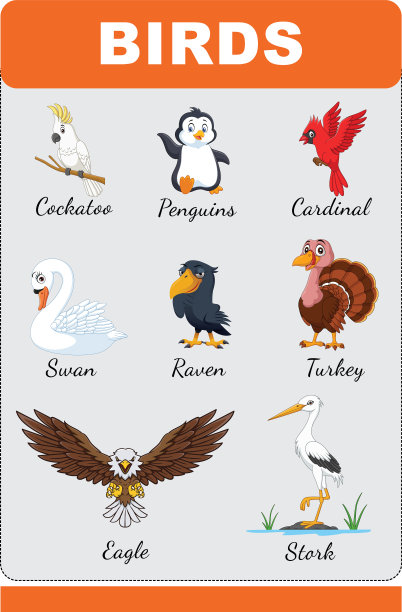 一群鸟图片下载