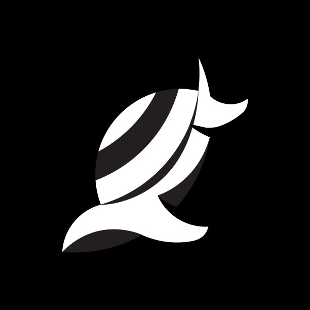 黑色背景上的黑白海龟图片下载