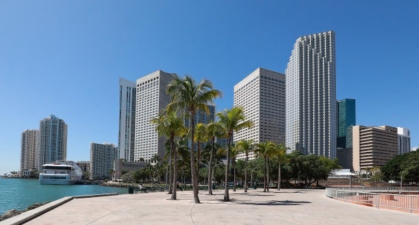 以蓝天为背景的迈阿密天际线图片下载