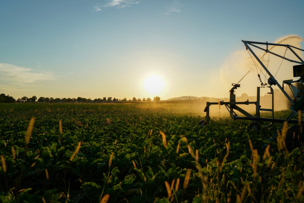 长期干旱后的灌溉图片下载