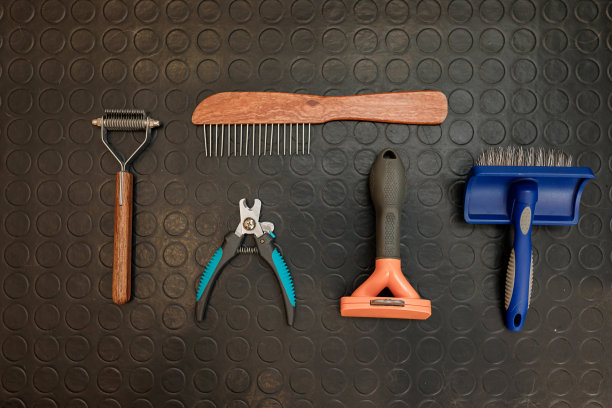 配件狗美容如电动宠物剪子，美容剪刀，羊毛刷。广告的概念，美容和照顾狗。宠物护理主题的背景空间图片下载