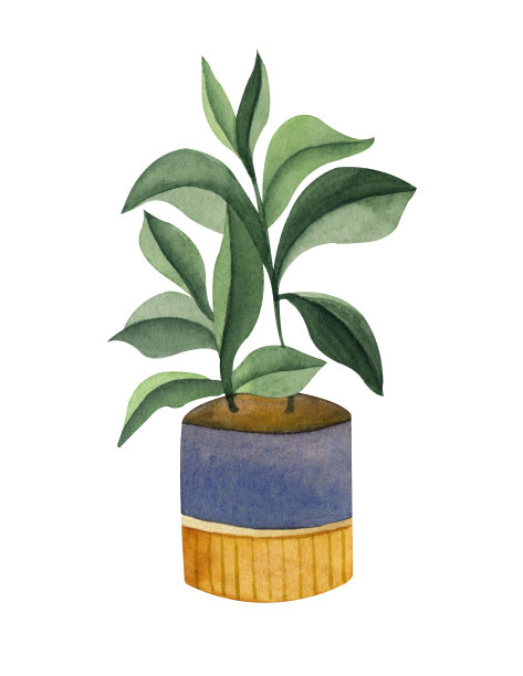 室内盆栽植物，多汁仙人掌。水彩手绘插图孤立在白色背景上。完美的任何项目，打印，菜单，卡片，装饰。图片下载