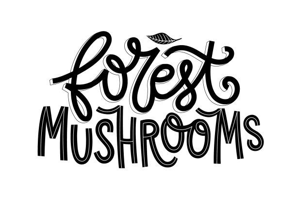 用野生蘑菇和树叶装饰的时髦字体图片下载
