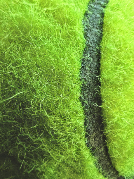 网球近景图片下载