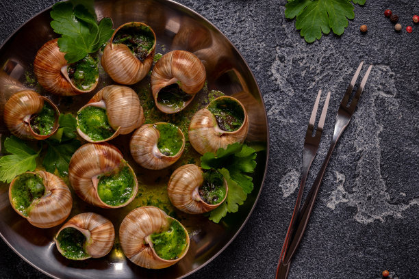 勃艮第蜗牛配香草大蒜油。图片下载