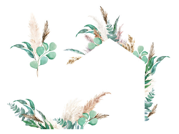 水彩蒲苇草和桉树插图图片下载