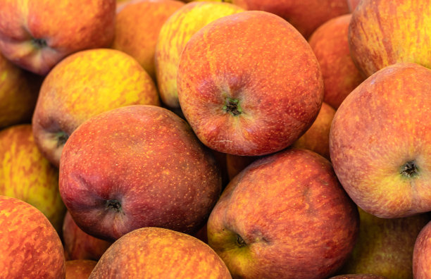 来自农场的新鲜有机苹果从不同的角度特写图片下载