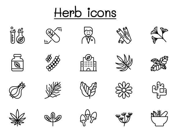 药草图标设置在细线风格图片下载