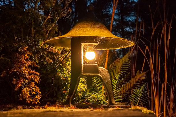 用于装饰和夜间照明的有趣的户外照明灯具图片下载