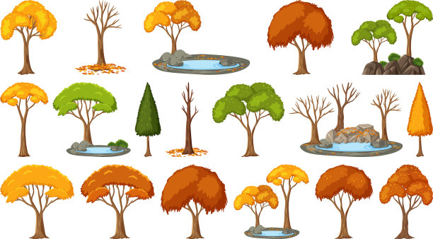 一套四季树木在白色背景图片下载