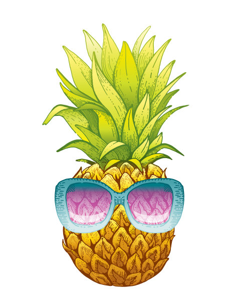 菠萝在墨镜素描夏天图片下载