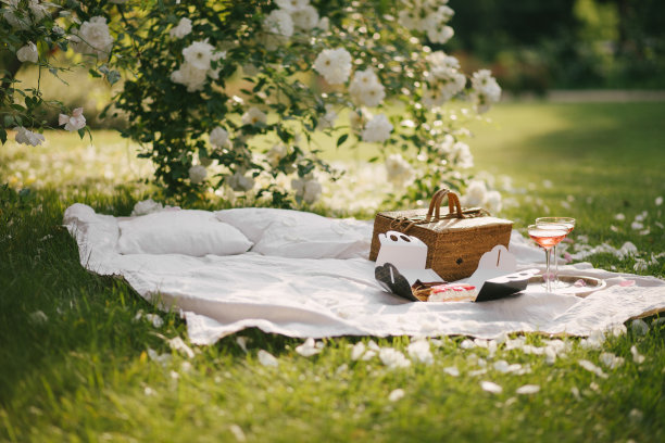 美丽的野餐，新鲜甜美的泡芙和两杯玫瑰香槟在盛开的花园。图片下载