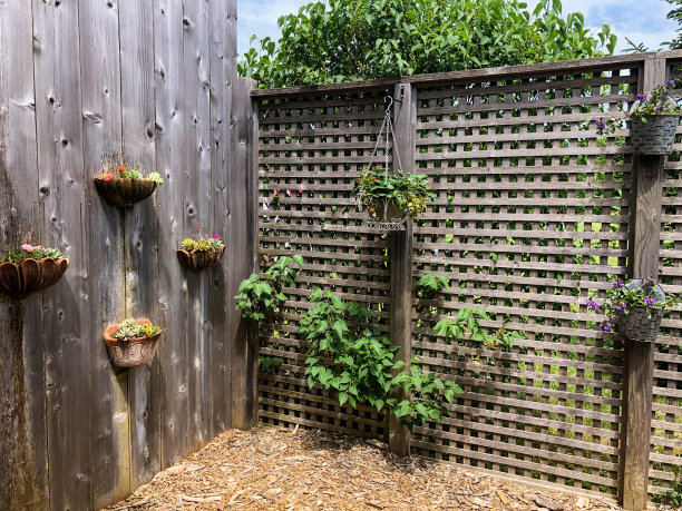 在格子篱笆上挂着花篮图片下载