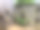 在格子篱笆上挂着花篮图片下载