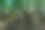 森林里一个腐烂的树桩，上面覆盖着苔藓和地衣图片下载