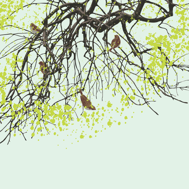 春天有树枝和小鸟图片下载