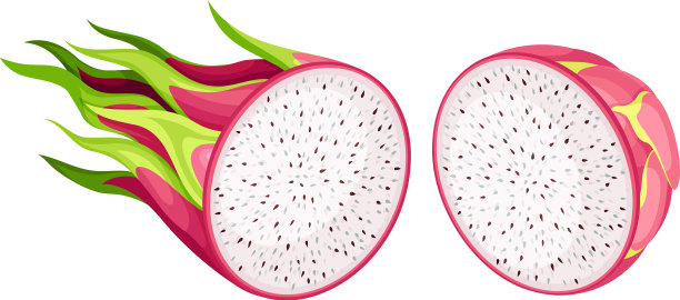 仙人掌类火龙果或火龙果的一半图片下载