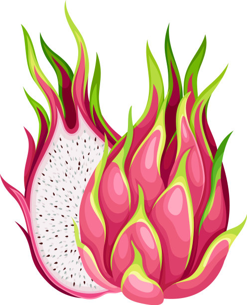 仙人掌类火龙果或火龙果的一半图片下载