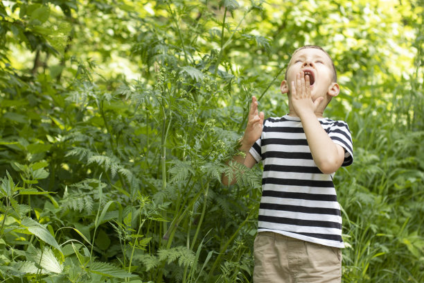 一个小男孩站在茂密的草丛中打了个喷嚏。季节性过敏的概念图片下载