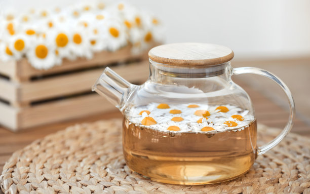 近有机洋甘菊有机茶在玻璃透明茶壶在木制桌子上许多花图片下载