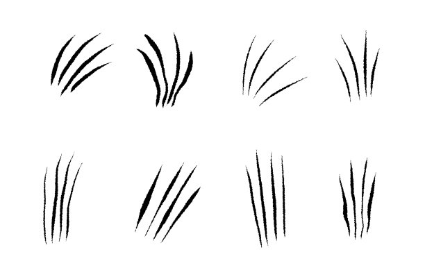 动物抓伤组图片下载