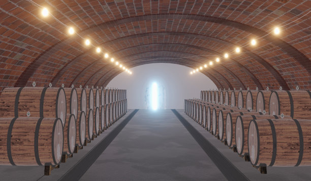 酒窖正面视图在进门，3D渲染葡萄酒库存插图背景图片下载