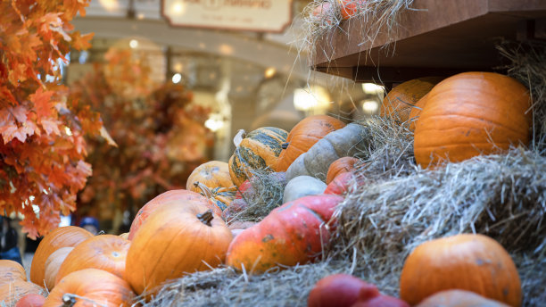 秋天五彩斑斓的背景与南瓜和马普尔树叶。图片下载