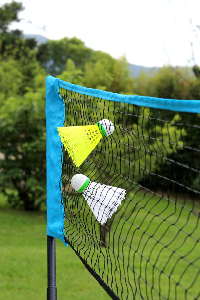 两个羽毛球用来打羽毛球图片下载