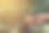 生态自然环境保护地球日概念种植植物在人类的手中，绿色的背景图片下载