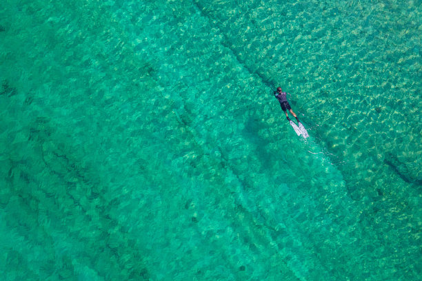 潜水者在热带异域海域捕鱼，海水碧蓝清澈。男子游泳狩猎外来鱼类，偷猎。前视图。空中，无人机，直升机视图。图片下载