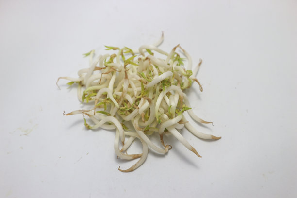 豆芽孤立在白色背景上。月亮或绿芽图片下载