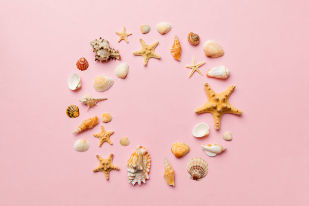 彩色背景上的夏日时光概念。贝壳从海洋海岸的形状框与文字顶部的空间分开图片下载