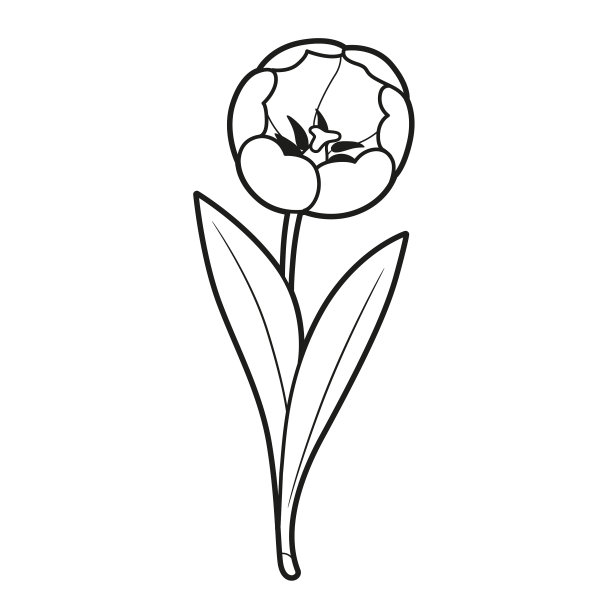 大郁金香花概述为着色书图片下载