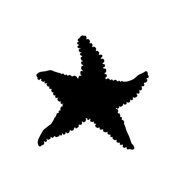 海星剪影野生海洋动物图片下载