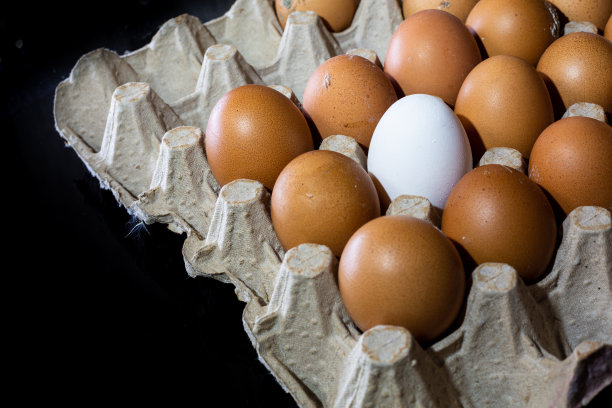 我妈妈在厨房里……图片下载