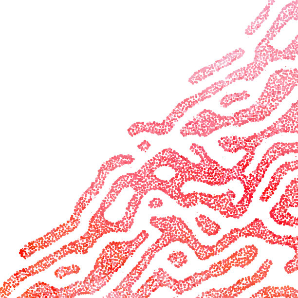 现代风格中鲜明的抽象形象图片下载