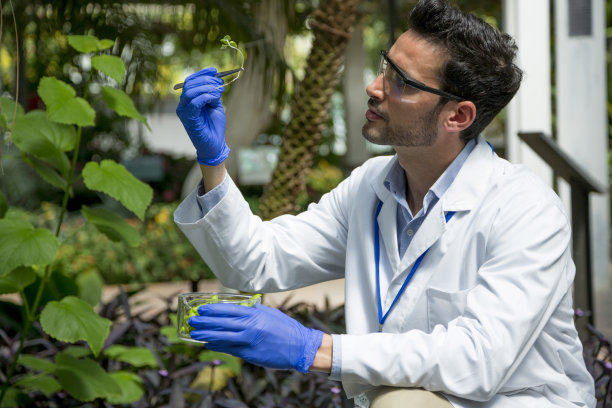 生物学家在温室里观察植物样本图片下载