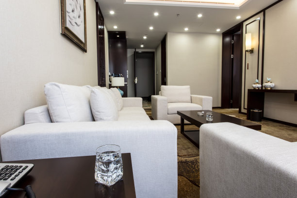 豪华套房客厅里的一杯水图片下载