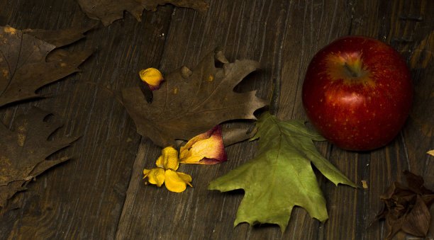 秋天的背景。美丽的秋天背景与落叶和花瓣在黑暗的木地板图片下载