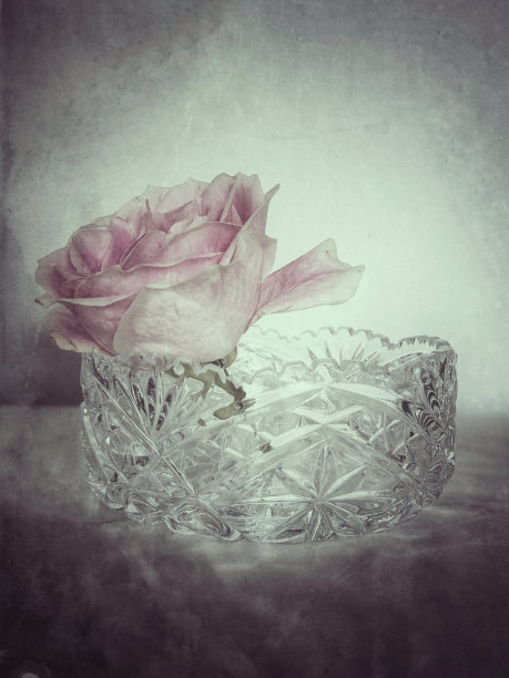 水晶堡的玫瑰图片下载