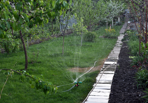 用喷灌的方法灌溉花园图片下载