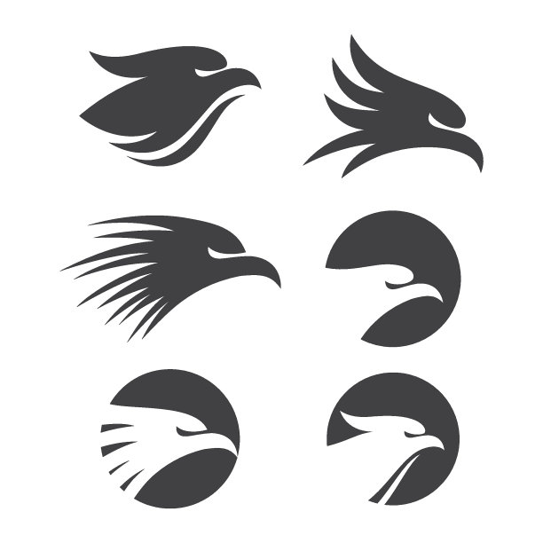 隼鹰鸟图片下载