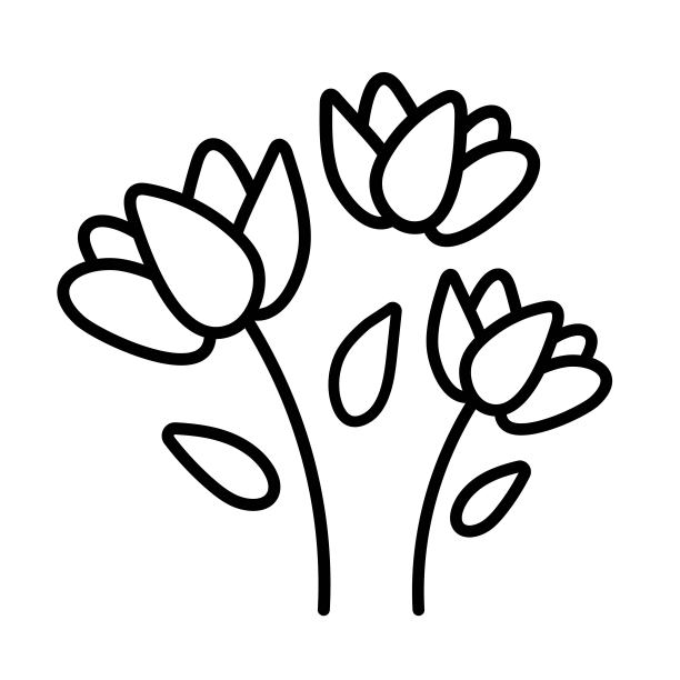 一小束野花。线性风格的玫瑰花束。图片下载